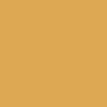 สีส้ม-01